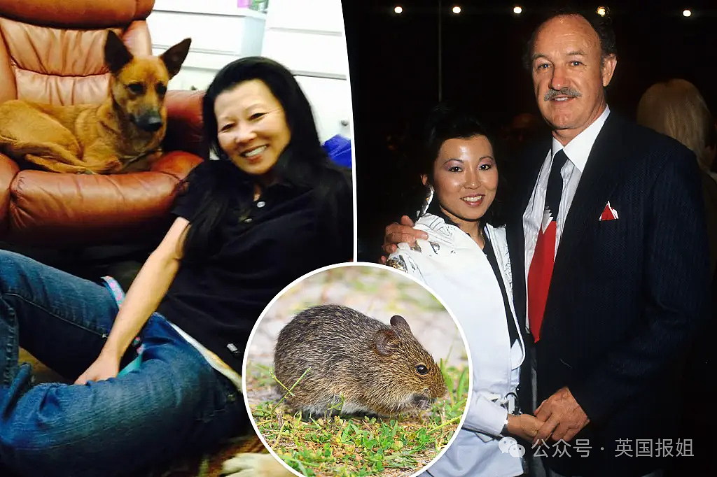 可怕!神秘传染病袭击英美,影帝夫妇、酒店员工离奇丧命?(组图) - 2