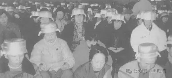 博主：董明珠没疯，是这个时代疯了（组图） - 2
