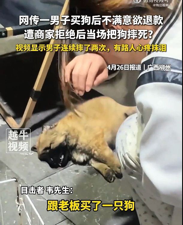 买狗要求退款遭拒,广西男竟当众残忍挞死狗BB,路人阻止未果落泪(组图) - 5