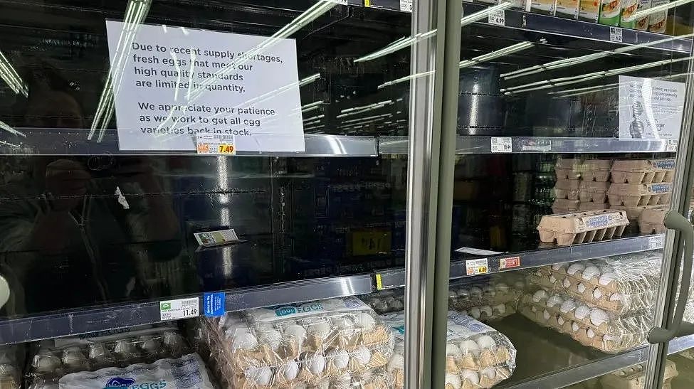 美国闹鸡蛋荒，墨西哥狠哥出手！走私鸡蛋比毒品还猖獗，警方：严惩大“蛋”枭（组图） - 2
