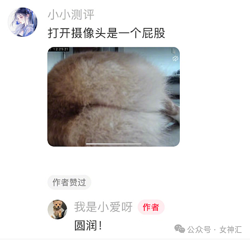 【爆笑】不小心把前男友给我拍的照片发网上后...？网友笑疯：P图高手都无法拯救！（组图） - 29