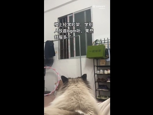 【爆笑】男明星公开露裤衩子给大家看?很担心会被封杀,但看到是他们之后:这是暴露狂进娱乐圈了吧...(组图) - 10