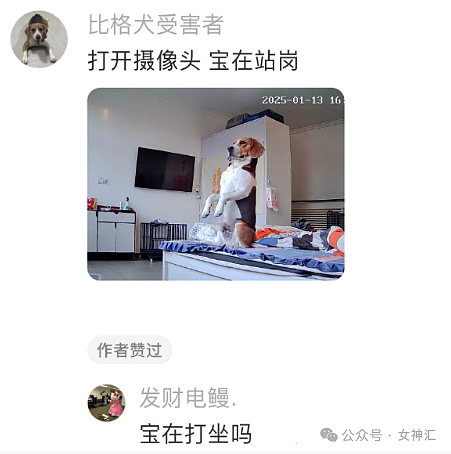 【爆笑】不小心把前男友给我拍的照片发网上后...？网友笑疯：P图高手都无法拯救！（组图） - 27