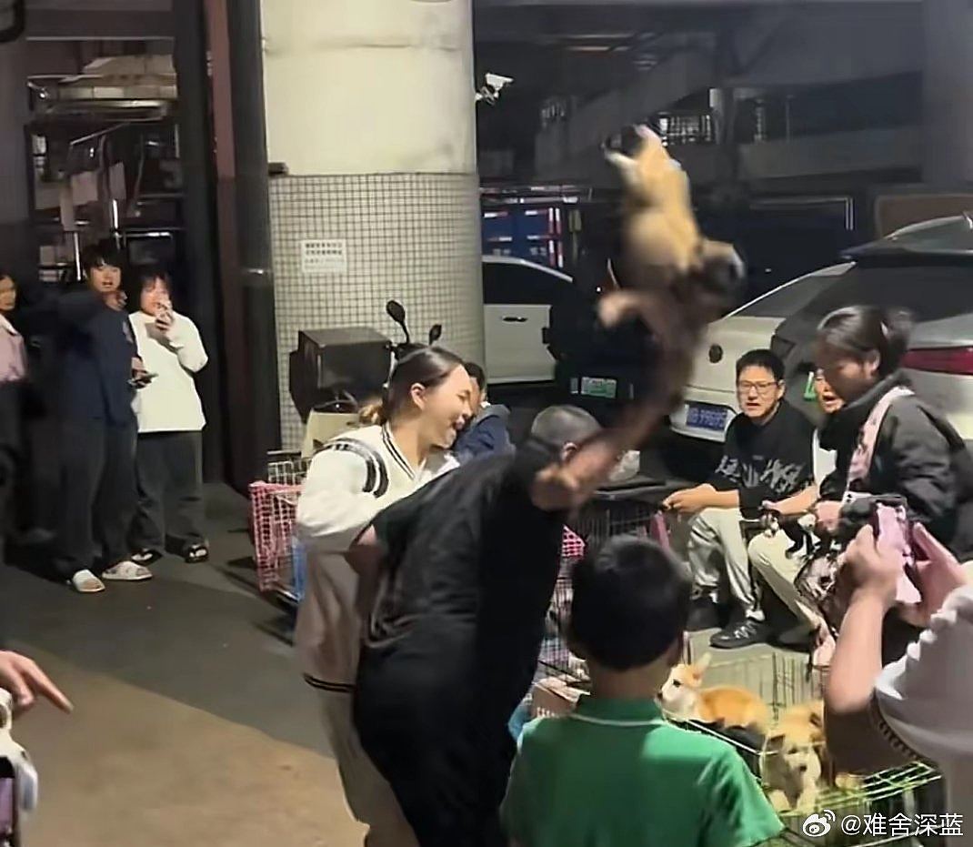 买狗要求退款遭拒,广西男竟当众残忍挞死狗BB,路人阻止未果落泪(组图) - 3