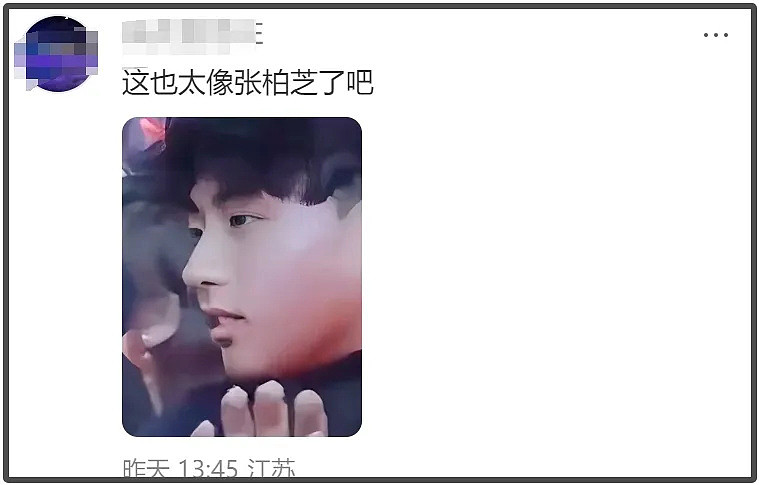 张柏芝儿子高清照曝光，一个像爸一个像妈，网友感叹基因太强大（组图） - 12