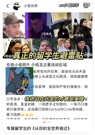 中国留子做的“欧洲小偷图鉴”爆火,网友没出过国但已认全当地小偷(组图) - 12