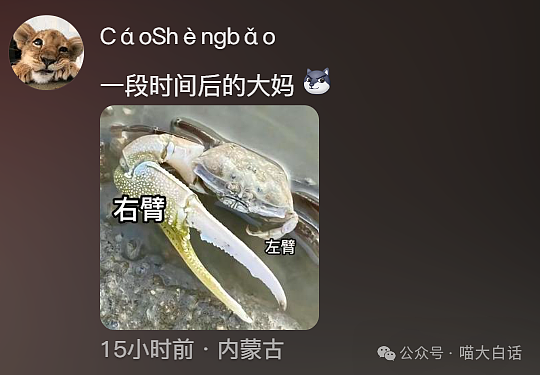 【爆笑】“吃饭为省钱找了个黄牛代结账...”哈哈哈哈哈这也太坑了吧(组图) - 40