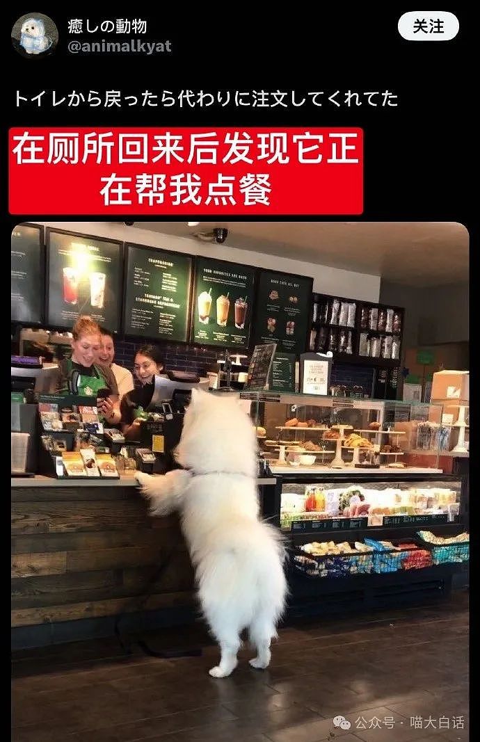 【爆笑】“吃饭为省钱找了个黄牛代结账...”哈哈哈哈哈这也太坑了吧(组图) - 115