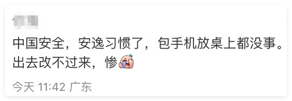 中国留子做的“欧洲小偷图鉴”爆火,网友没出过国但已认全当地小偷(组图) - 29