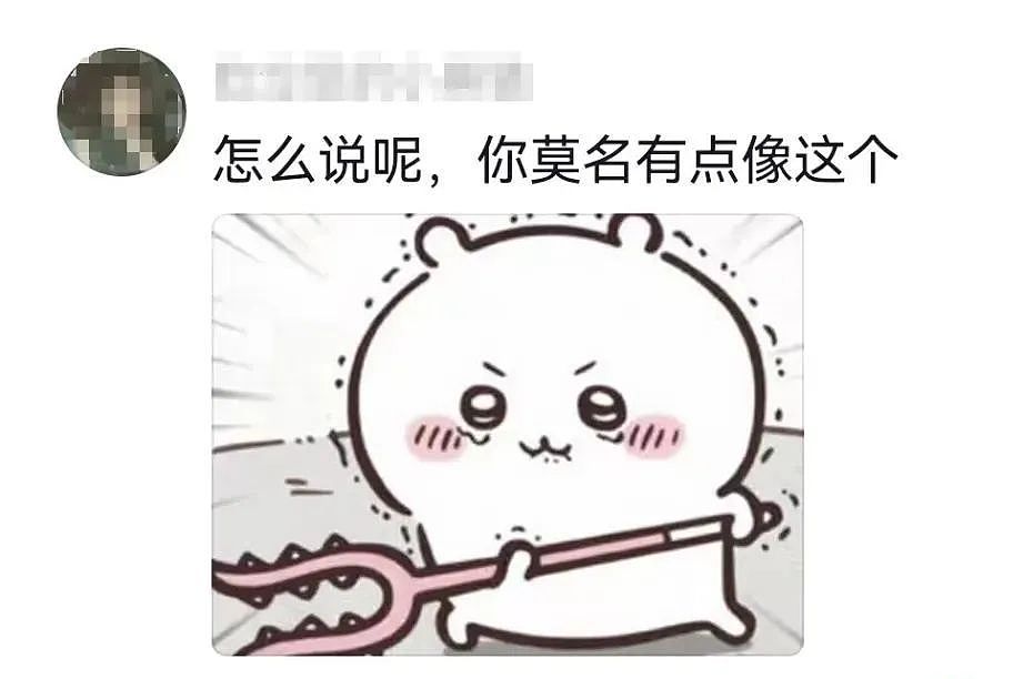 【宠物】妹子半夜用晾衣杆狂捅邻居猫咪脖子，网友刚想骂人…点进去一看：干得漂亮（组图） - 8