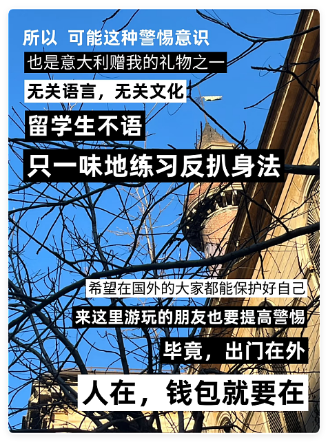 中国留子做的“欧洲小偷图鉴”爆火,网友没出过国但已认全当地小偷(组图) - 28
