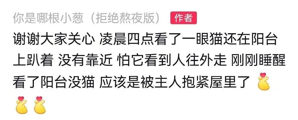 【宠物】妹子半夜用晾衣杆狂捅邻居猫咪脖子，网友刚想骂人…点进去一看：干得漂亮（组图） - 5