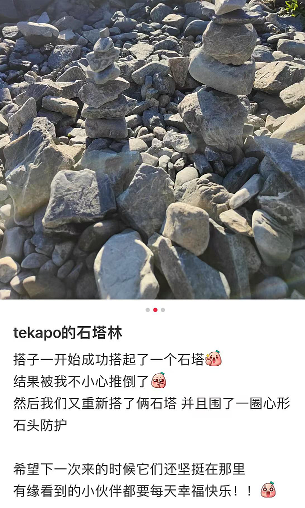 华人游客这样玩也被炮轰！新西兰摄影师拍下曝光，说“危害很大”！官方回应了…（组图） - 5
