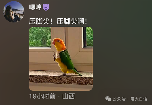 【爆笑】“吃饭为省钱找了个黄牛代结账...”哈哈哈哈哈这也太坑了吧(组图) - 63