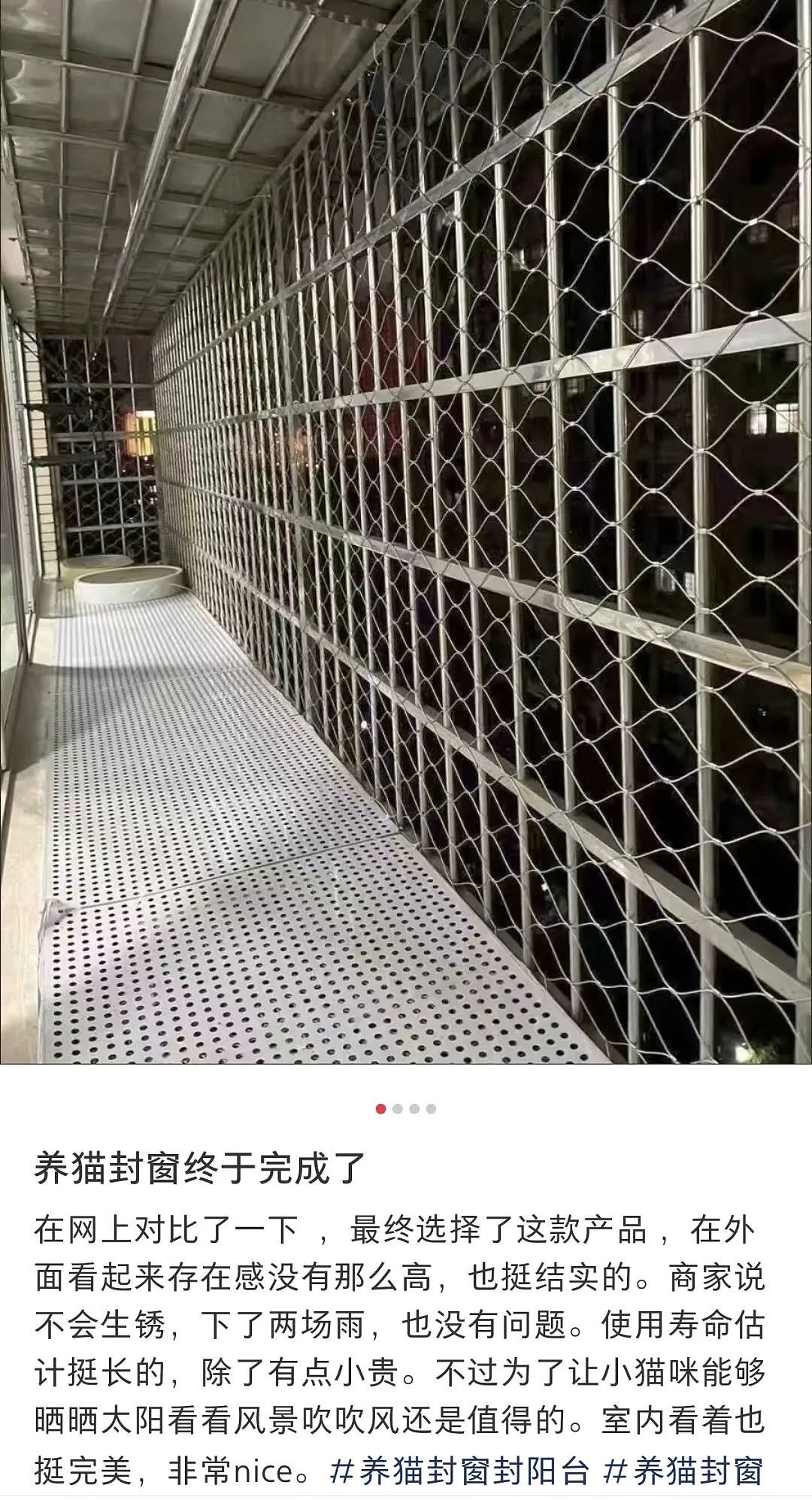 【宠物】妹子半夜用晾衣杆狂捅邻居猫咪脖子，网友刚想骂人…点进去一看：干得漂亮（组图） - 38