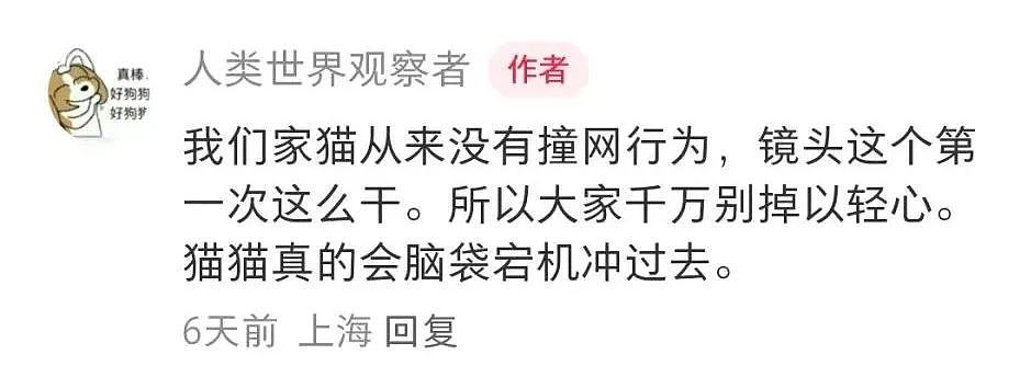 【宠物】妹子半夜用晾衣杆狂捅邻居猫咪脖子，网友刚想骂人…点进去一看：干得漂亮（组图） - 25