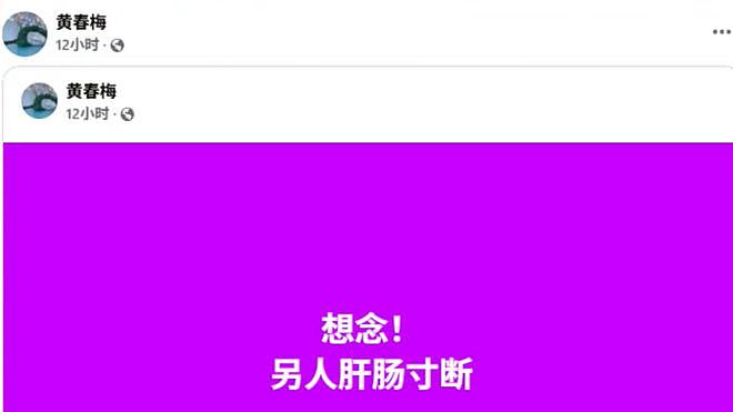 汪小菲感谢妻子筹备女儿生日宴，大手笔邀请全班，被吐槽做戏洗白（组图） - 17