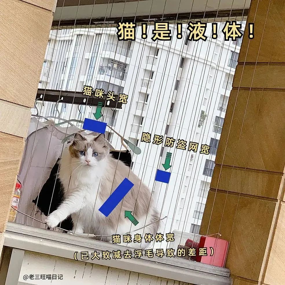 【宠物】妹子半夜用晾衣杆狂捅邻居猫咪脖子，网友刚想骂人…点进去一看：干得漂亮（组图） - 20