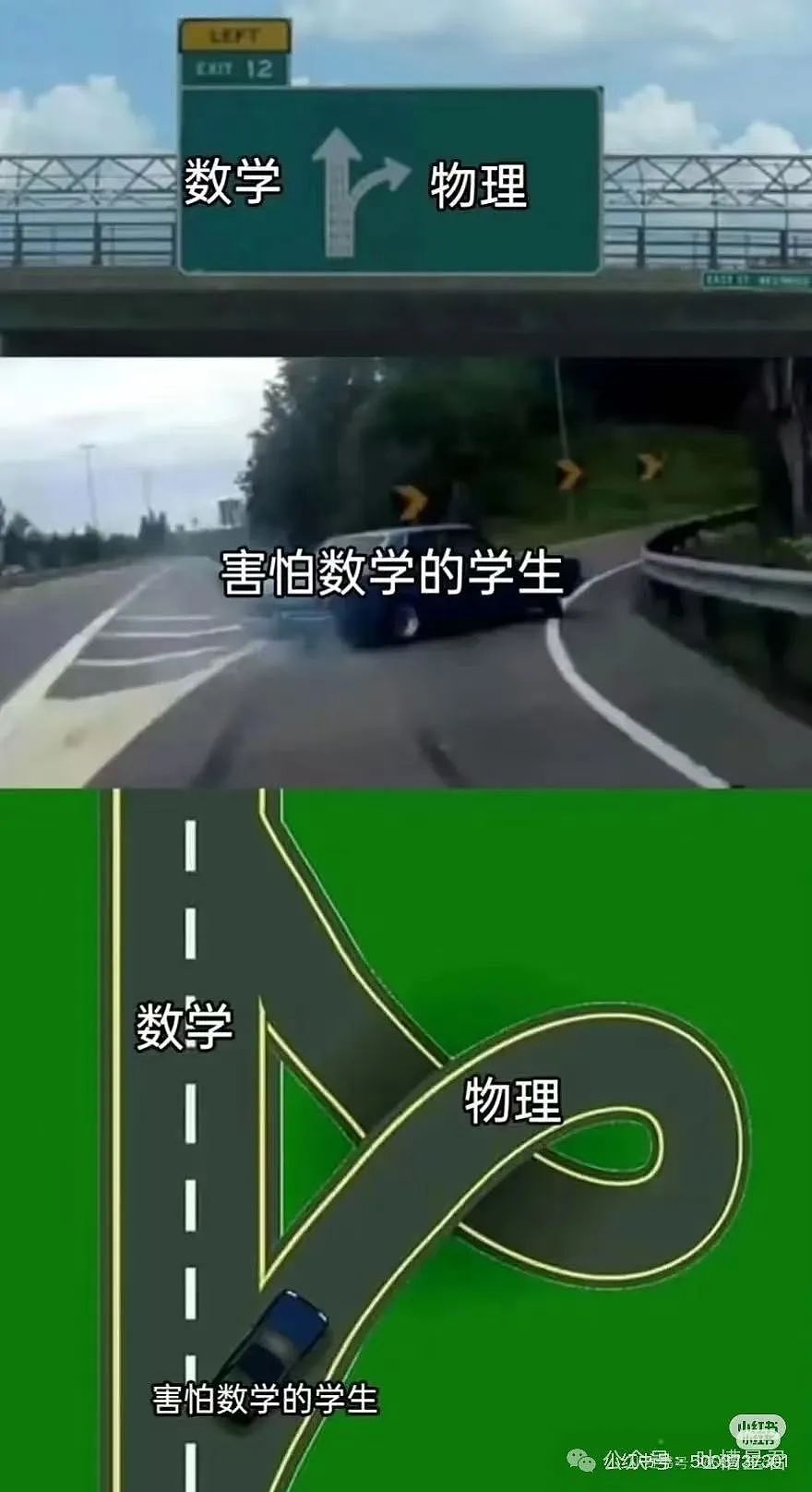 【爆笑】“刚订完婚就后悔了该怎么办...?”网友:啊啊啊沉没成本不参与重大决策(组图) - 60