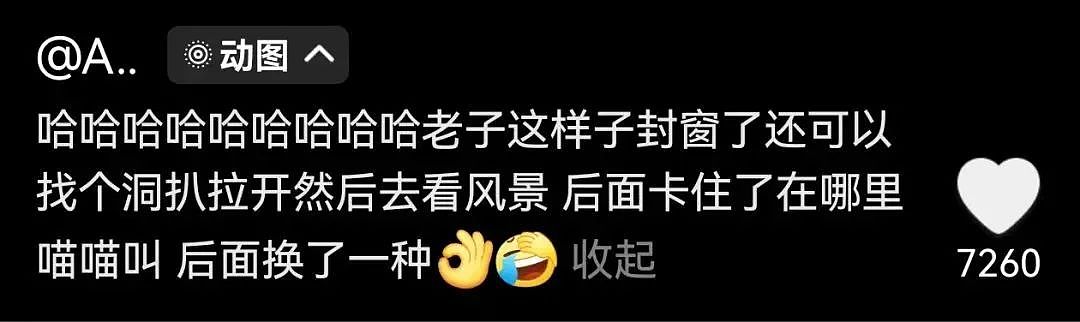 【宠物】妹子半夜用晾衣杆狂捅邻居猫咪脖子，网友刚想骂人…点进去一看：干得漂亮（组图） - 27