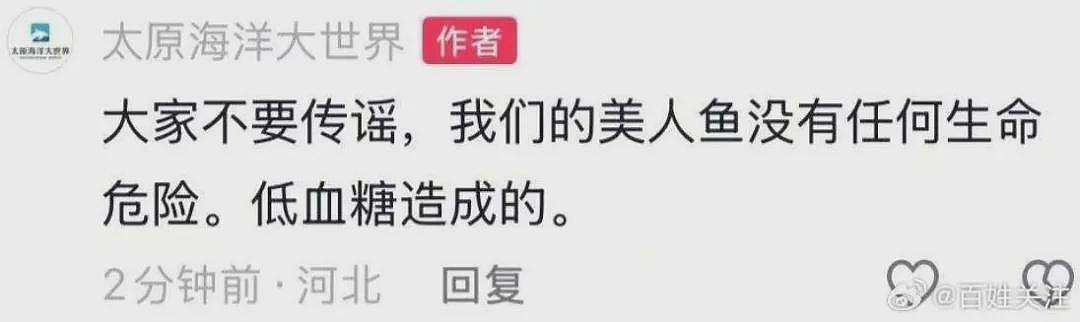 不是低血糖！女演员溺水真实原因公布，太原海洋大世界道歉（组图） - 4