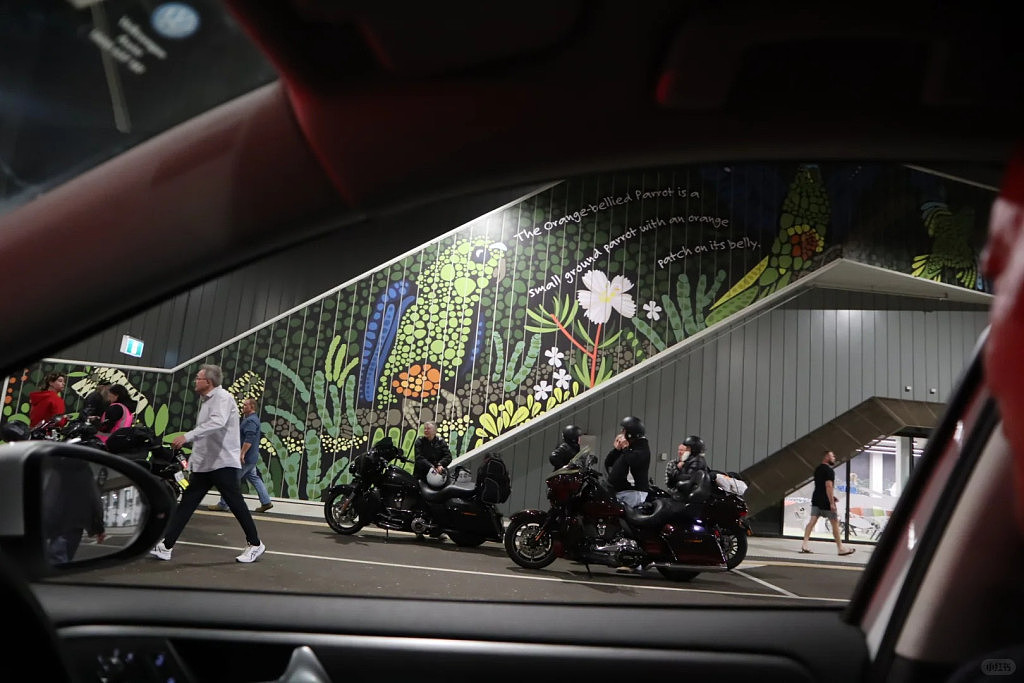 塔州自驾游：悉尼至Devonport（组图） - 6