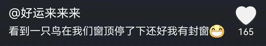 【宠物】妹子半夜用晾衣杆狂捅邻居猫咪脖子，网友刚想骂人…点进去一看：干得漂亮（组图） - 37