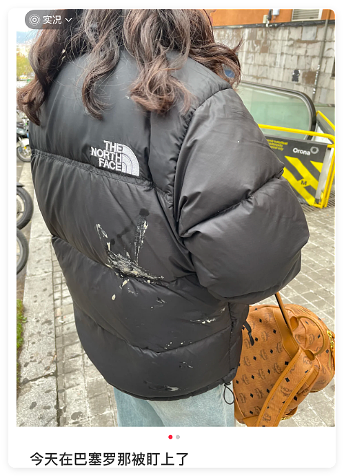 中国留子做的“欧洲小偷图鉴”爆火,网友没出过国但已认全当地小偷(组图) - 7