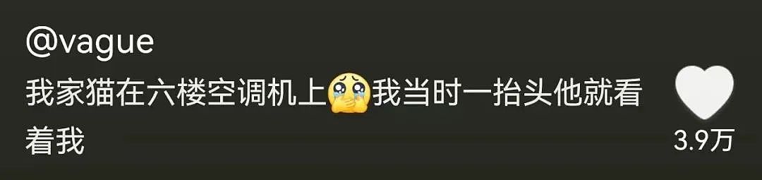 【宠物】妹子半夜用晾衣杆狂捅邻居猫咪脖子，网友刚想骂人…点进去一看：干得漂亮（组图） - 10