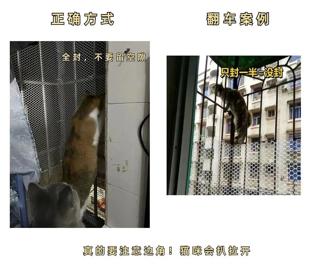 【宠物】妹子半夜用晾衣杆狂捅邻居猫咪脖子，网友刚想骂人…点进去一看：干得漂亮（组图） - 15