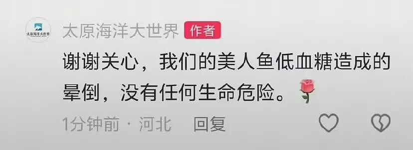 不是低血糖！女演员溺水真实原因公布，太原海洋大世界道歉（组图） - 3