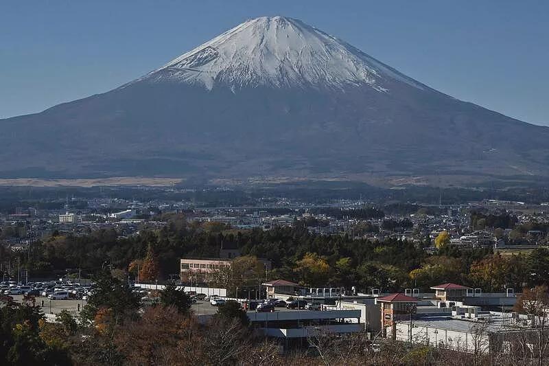 不满富士山美景被挡到，中国4人竟砍伐、毒杀23棵树木（组图） - 1