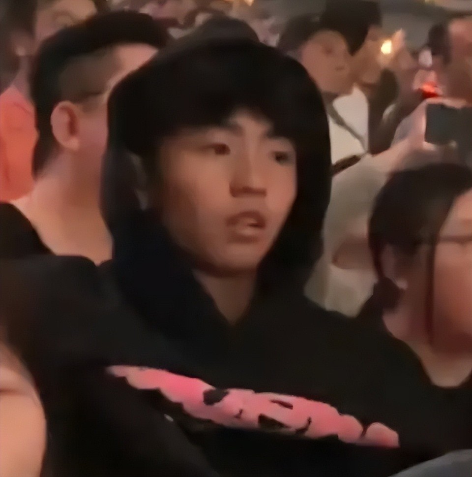 张柏芝儿子高清照曝光，一个像爸一个像妈，网友感叹基因太强大（组图） - 9