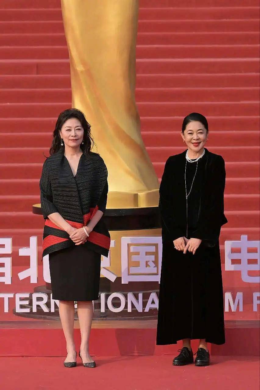 北影节闭幕红毯：倪妮粉裙亮眼，林志玲仙气十足（组图） - 7