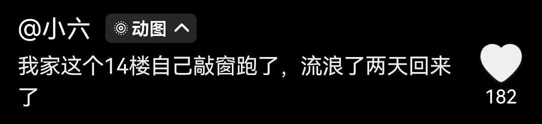 【宠物】妹子半夜用晾衣杆狂捅邻居猫咪脖子，网友刚想骂人…点进去一看：干得漂亮（组图） - 22