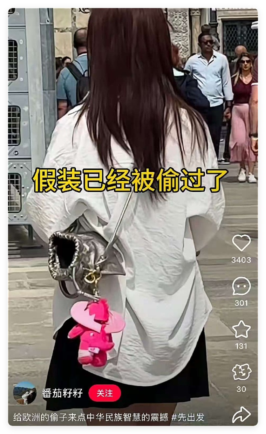 中国留子做的“欧洲小偷图鉴”爆火,网友没出过国但已认全当地小偷(组图) - 34