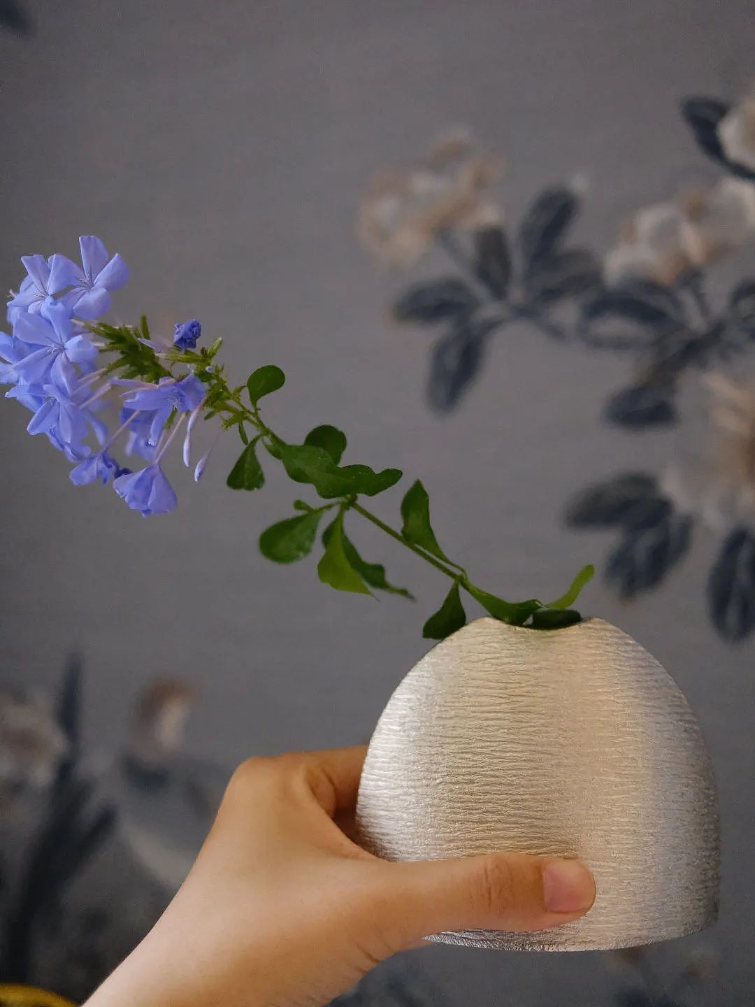 【时尚】好久没逛街了!在这里买的每一件都满意得不得了(组图) - 2