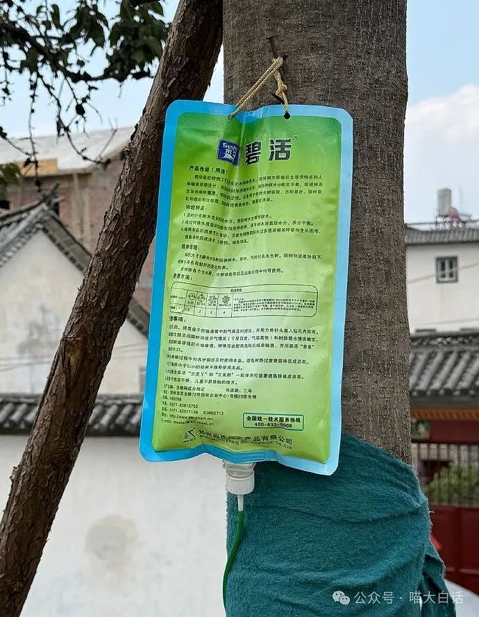 【爆笑】“吃饭为省钱找了个黄牛代结账...”哈哈哈哈哈这也太坑了吧(组图) - 25