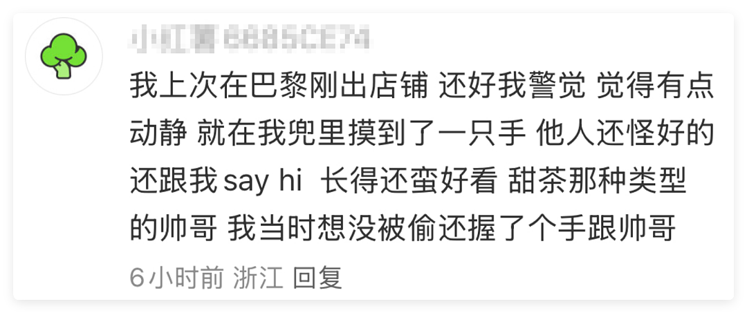 中国留子做的“欧洲小偷图鉴”爆火,网友没出过国但已认全当地小偷(组图) - 1