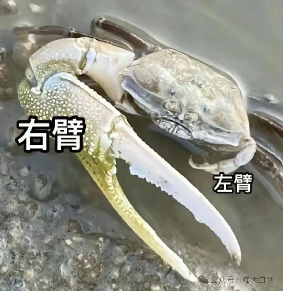【爆笑】“吃饭为省钱找了个黄牛代结账...”哈哈哈哈哈这也太坑了吧(组图) - 41