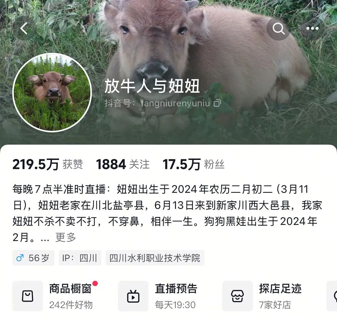 “最美通缉犯“出狱后当主播,以坐牢经历博流量被封!而隔壁绝命糖师:安静养牛ing...(视频/组图) - 4