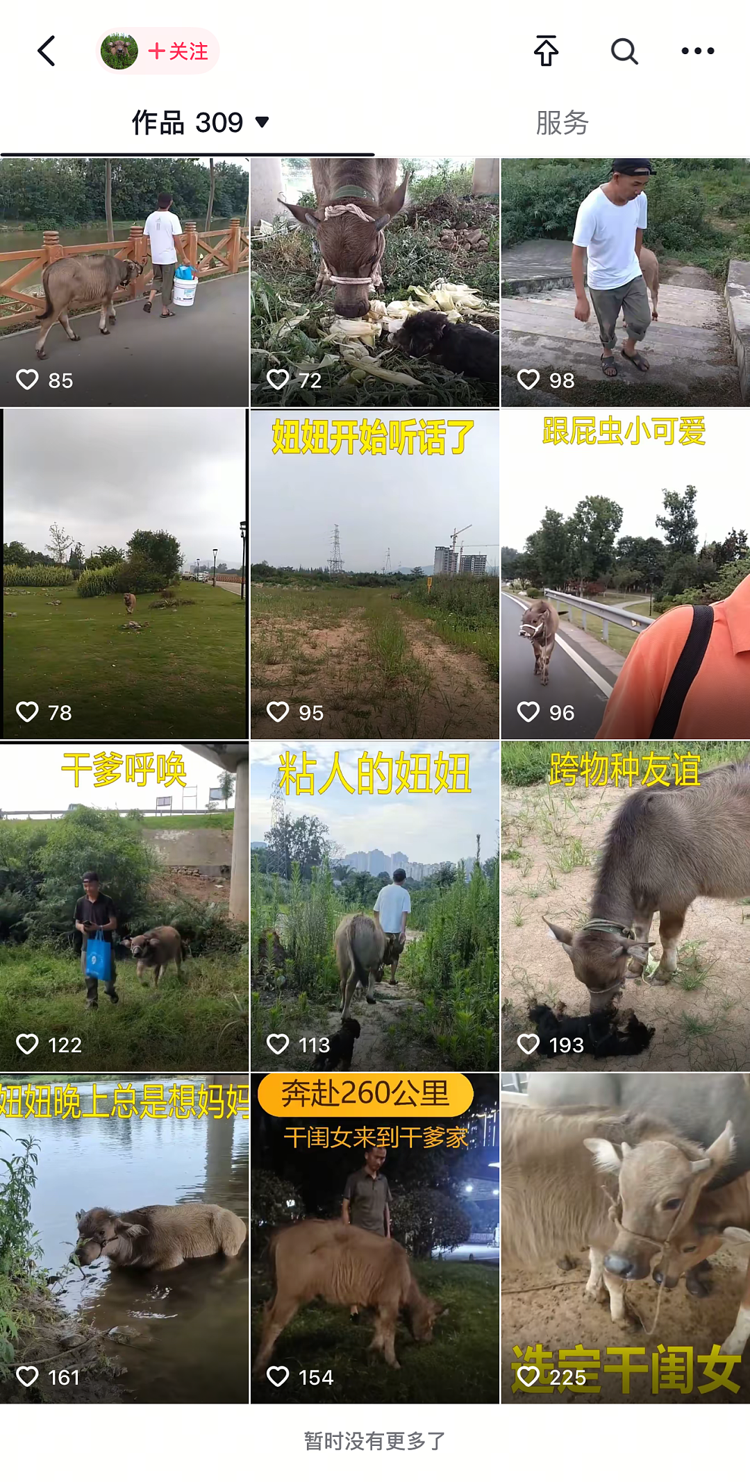 “最美通缉犯“出狱后当主播,以坐牢经历博流量被封!而隔壁绝命糖师:安静养牛ing...(视频/组图) - 16