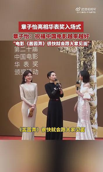 章子怡在华表奖意外摔倒,靠轮椅出行(组图) - 8
