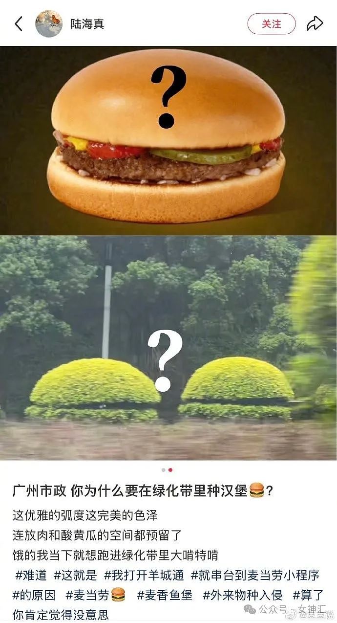 【爆笑】爱小动物的都会发财?4年前打造的纯金狗食碗,如今市值翻一倍!网友傻眼:你真行(组图) - 5