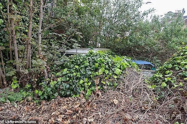 英国最乱花园曝光:“丛林”遮天蔽日、六辆废车、一艘船,邻居看傻了!(组图) - 5
