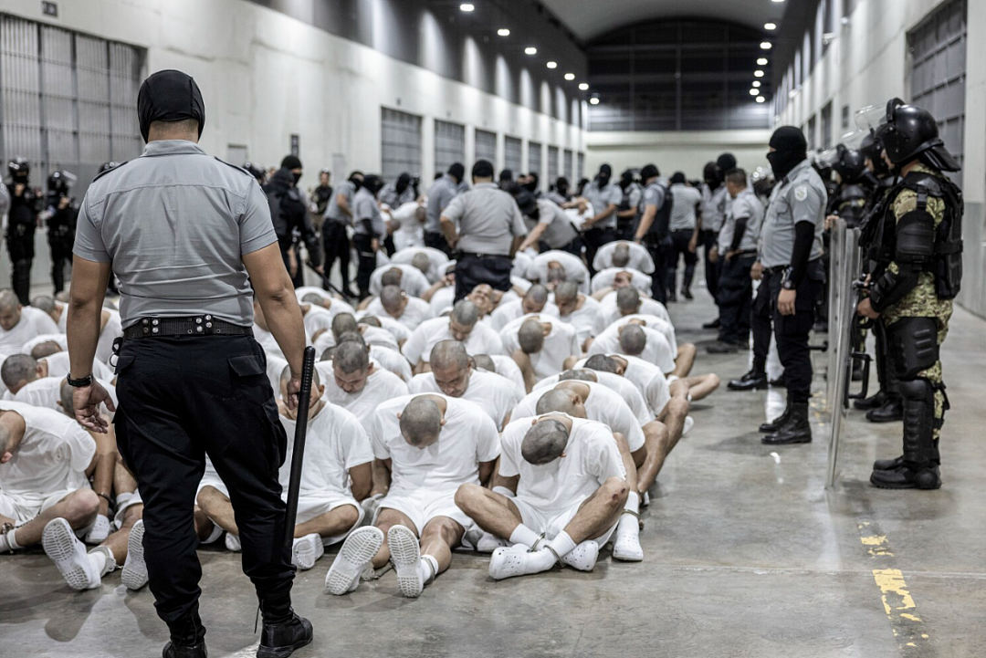 他们拿到了新西兰身份，却在这里轮奸妇女！有人呼吁“直接流放”（组图） - 14