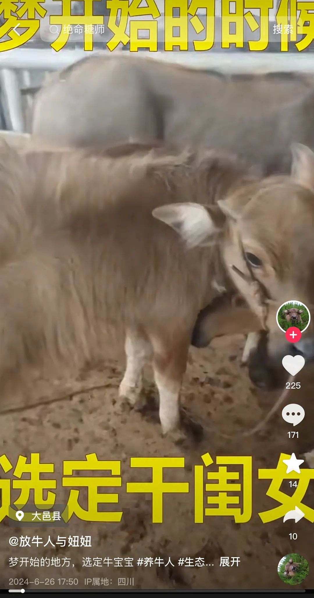 “最美通缉犯“出狱后当主播,以坐牢经历博流量被封!而隔壁绝命糖师:安静养牛ing...(视频/组图) - 15