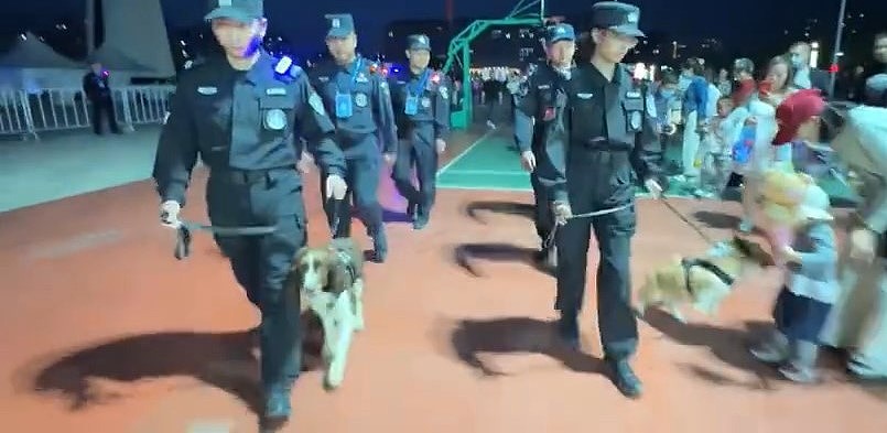 【宠物】警犬“变节”？福仔巡逻途中抢食，训导员：已严肃批评（视频/组图） - 3