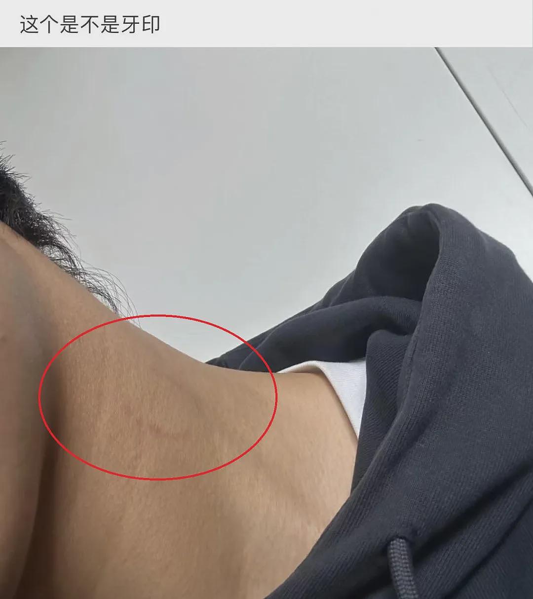 【爆笑】爱小动物的都会发财?4年前打造的纯金狗食碗,如今市值翻一倍!网友傻眼:你真行(组图) - 1