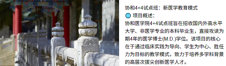 肖飞医生的桃色大瓜里,重头戏是小四董小姐的背景(组图) - 8